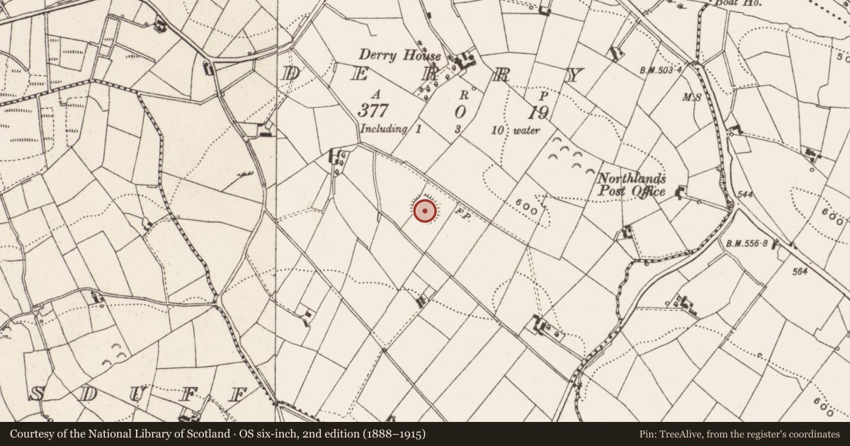 Ordnance Survey six-inch map, 2nd edition (1888–1915) covering the location of Ringfort - rath, Derry, County Cavan, with a pin at the register's coordinates