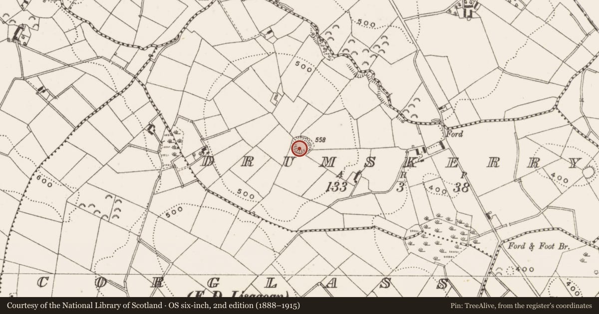 Ordnance Survey six-inch map, 2nd edition (1888–1915) covering the location of Ringfort - rath, Drumskerry, County Cavan, with a pin at the register's coordinates