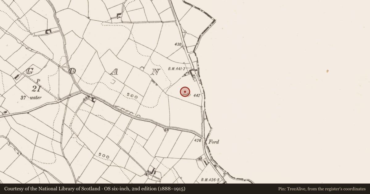 Ordnance Survey six-inch map, 2nd edition (1888–1915) covering the location of Ringfort - rath, Lisagoan, County Cavan, with a pin at the register's coordinates