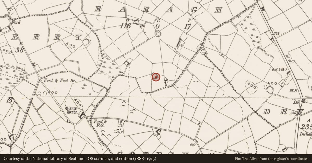 Ordnance Survey six-inch map, 2nd edition (1888–1915) covering the location of Ringfort - rath, Raragh, County Cavan, with a pin at the register's coordinates