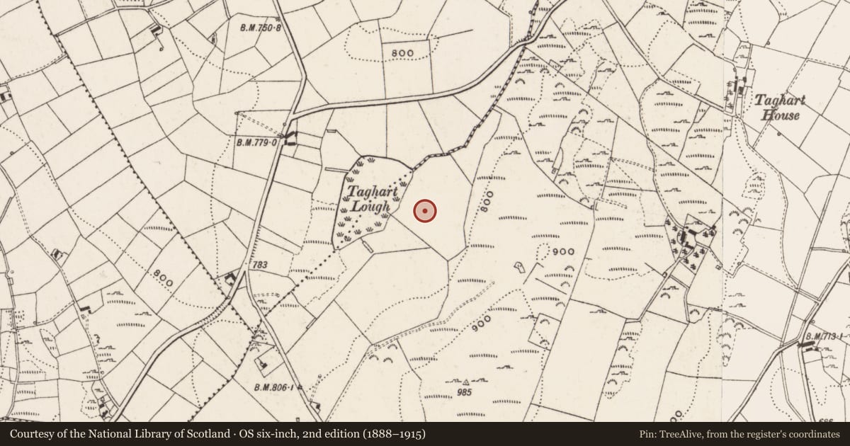 Ordnance Survey six-inch map, 2nd edition (1888–1915) covering the location of Enclosure - large enclosure, Taghart South, County Cavan, with a pin at the register's coordinates