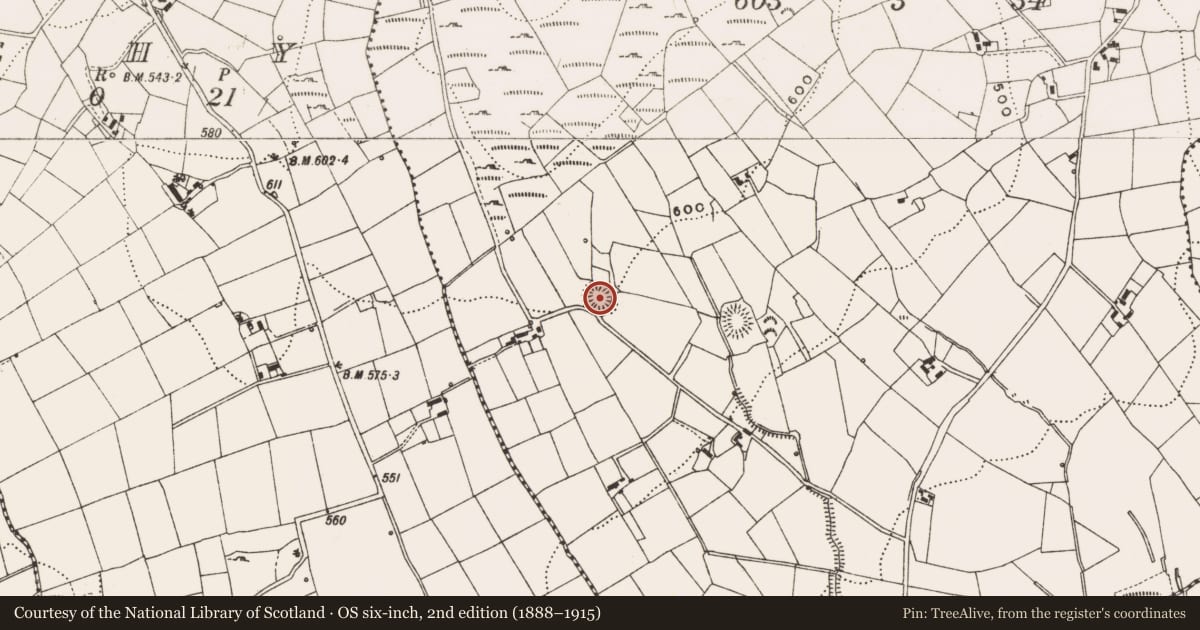 Ordnance Survey six-inch map, 2nd edition (1888–1915) covering the location of Ringfort - rath, Bruse, County Cavan, with a pin at the register's coordinates