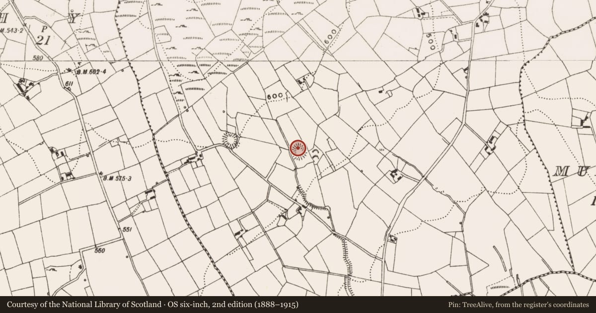 Ordnance Survey six-inch map, 2nd edition (1888–1915) covering the location of Ringfort - rath, Bruse, County Cavan, with a pin at the register's coordinates