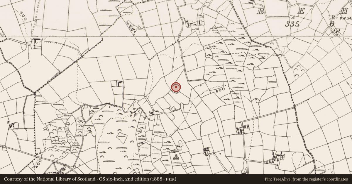 Ordnance Survey six-inch map, 2nd edition (1888–1915) covering the location of Ringfort - unclassified, Castlepoles, County Cavan, with a pin at the register's coordinates