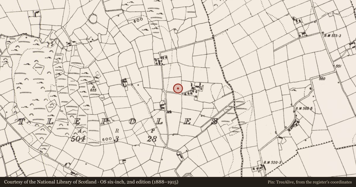 Ordnance Survey six-inch map, 2nd edition (1888–1915) covering the location of Castle - unclassified, Castlepoles, County Cavan, with a pin at the register's coordinates