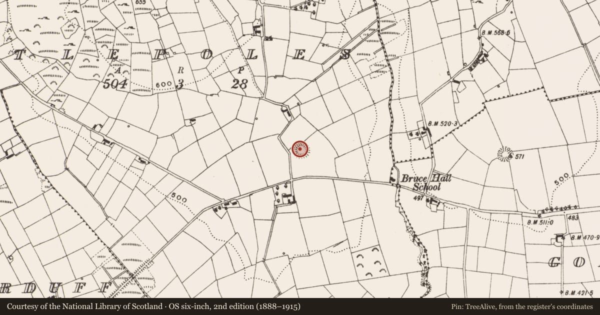 Ordnance Survey six-inch map, 2nd edition (1888–1915) covering the location of Ringfort - rath, Castlepoles, County Cavan, with a pin at the register's coordinates