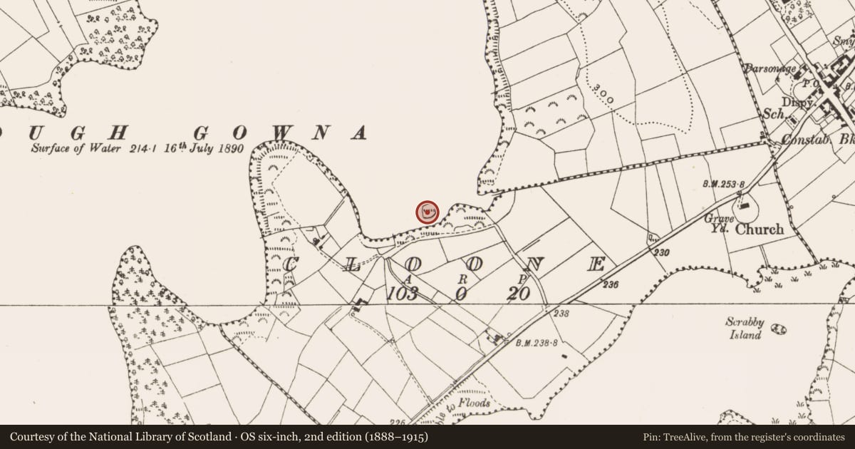 Ordnance Survey six-inch map, 2nd edition (1888–1915) covering the location of Crannog, Cloone, County Cavan, with a pin at the register's coordinates