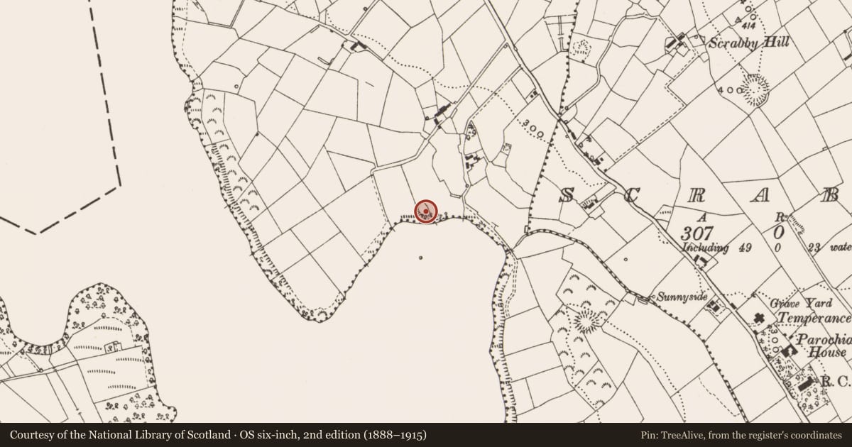 Ordnance Survey six-inch map, 2nd edition (1888–1915) covering the location of Ringfort - rath, Corfree, County Cavan, with a pin at the register's coordinates