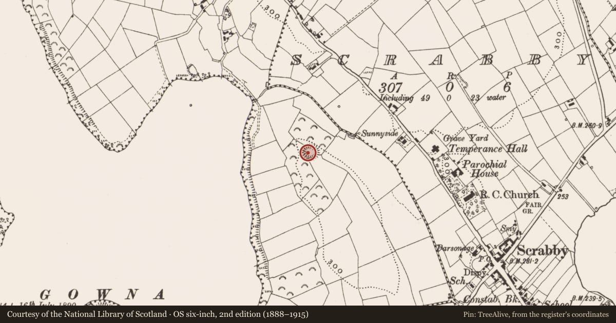 Ordnance Survey six-inch map, 2nd edition (1888–1915) covering the location of Ringfort - rath, Corfree, County Cavan, with a pin at the register's coordinates