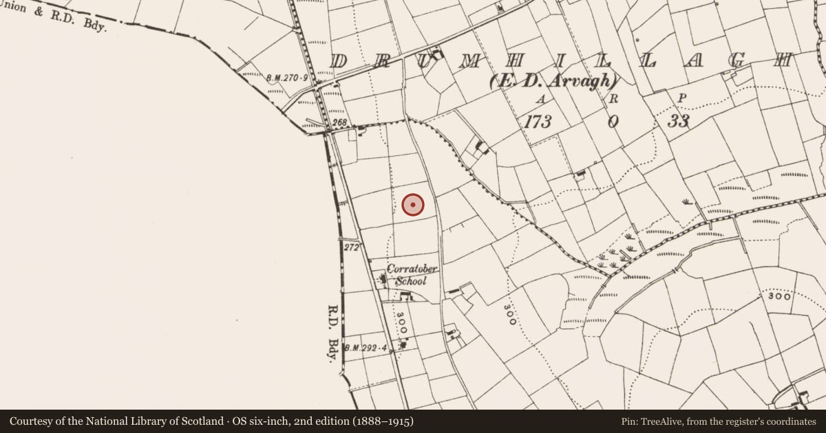 Ordnance Survey six-inch map, 2nd edition (1888–1915) covering the location of Ringfort - rath, Corratober, County Cavan, with a pin at the register's coordinates