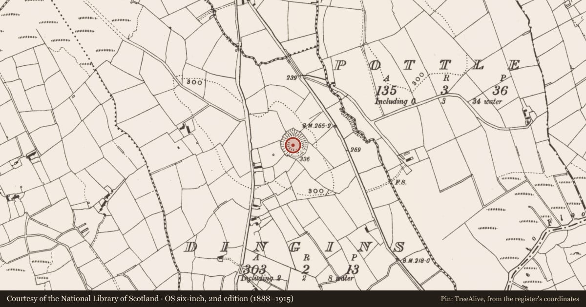 Ordnance Survey six-inch map, 2nd edition (1888–1915) covering the location of Ringfort - rath, Dingins, County Cavan, with a pin at the register's coordinates