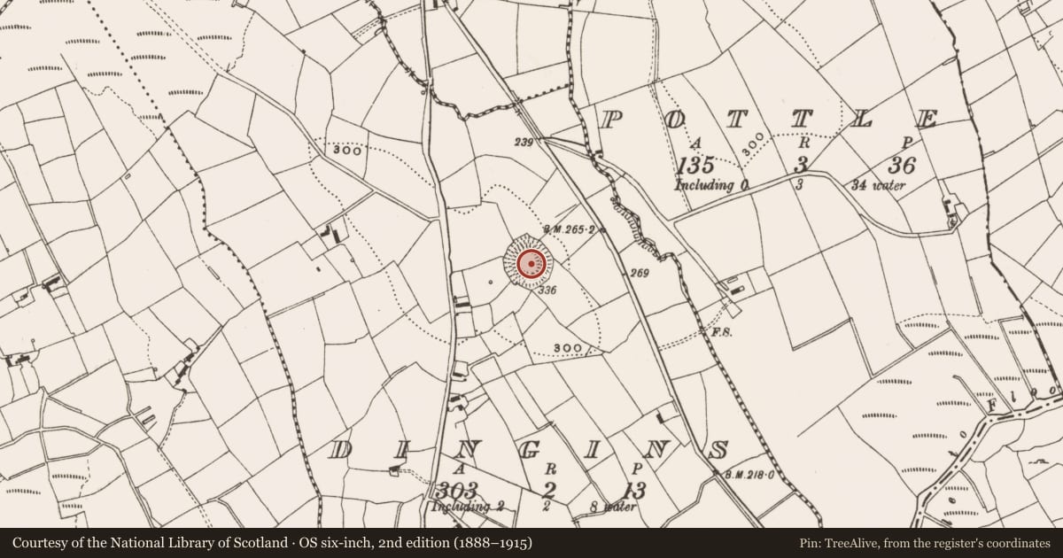 Ordnance Survey six-inch map, 2nd edition (1888–1915) covering the location of Souterrain, Dingins, County Cavan, with a pin at the register's coordinates