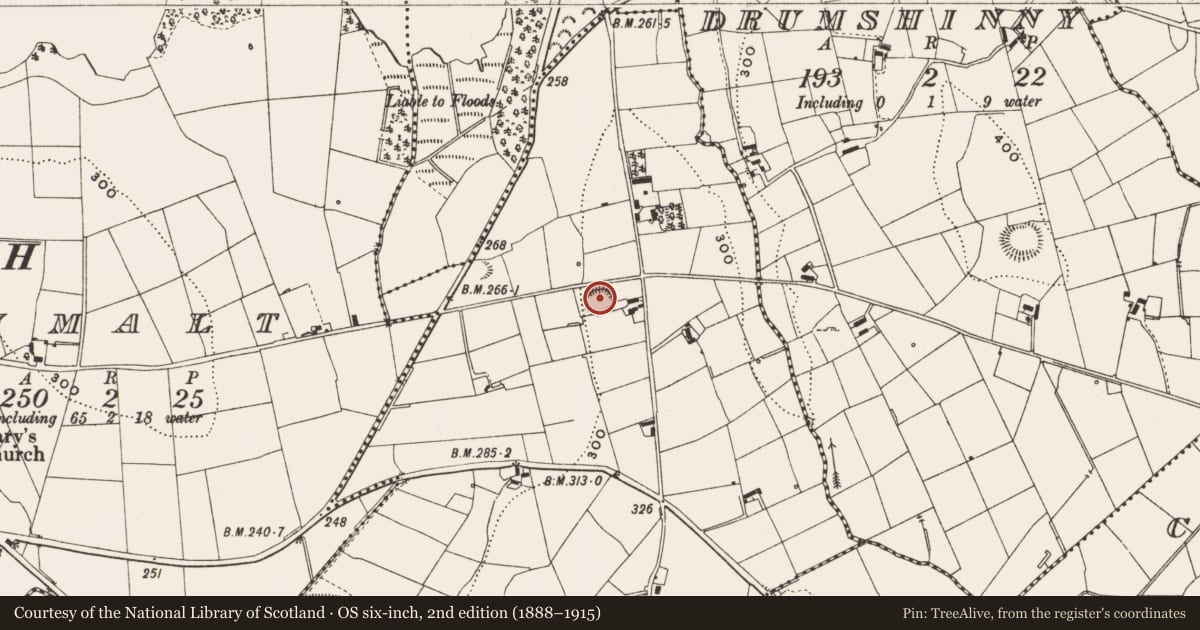 Ordnance Survey six-inch map, 2nd edition (1888–1915) covering the location of Ringfort - rath, Farrangarve, County Cavan, with a pin at the register's coordinates