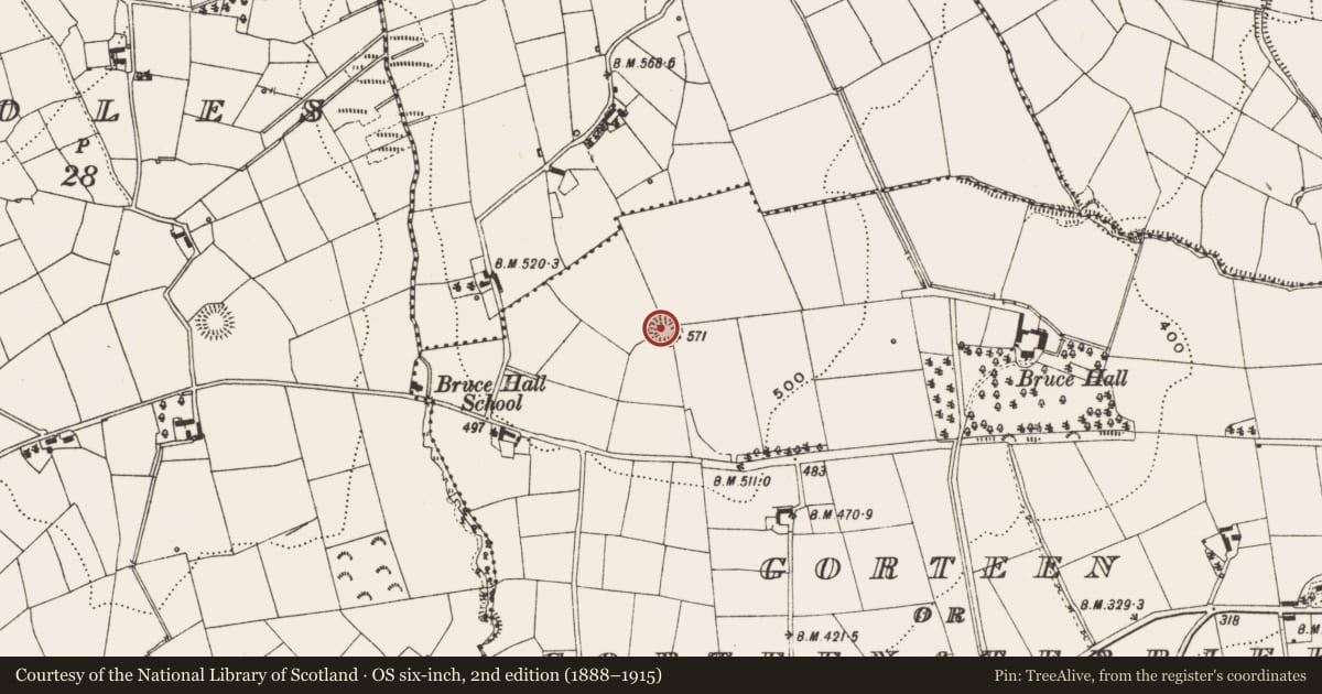 Ordnance Survey six-inch map, 2nd edition (1888–1915) covering the location of Ringfort - rath, Gorteen Or Gorteenaterriff, County Cavan, with a pin at the register's coordinates