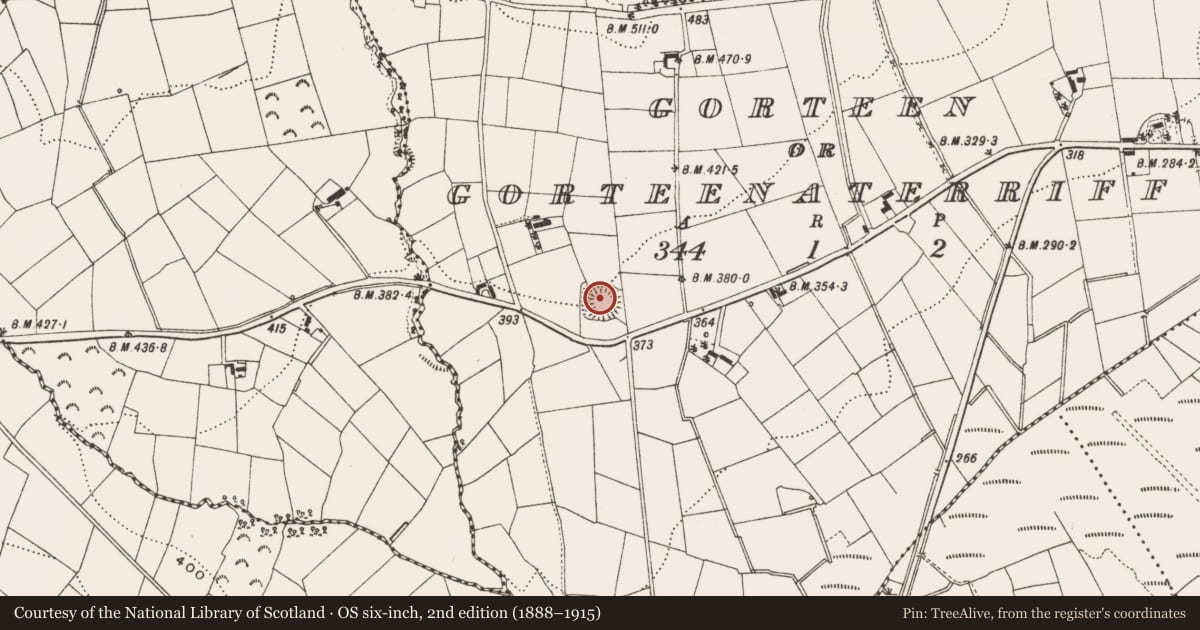 Ordnance Survey six-inch map, 2nd edition (1888–1915) covering the location of Ringfort - rath, Gorteen Or Gorteenaterriff, County Cavan, with a pin at the register's coordinates