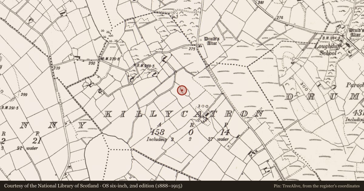 Ordnance Survey six-inch map, 2nd edition (1888–1915) covering the location of Ringfort - rath, Killycatron, County Cavan, with a pin at the register's coordinates