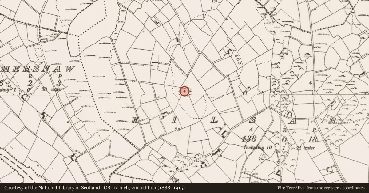 Ordnance Survey six-inch map, 2nd edition (1888–1915) covering the location of Ringfort - rath, Kilsaran, County Cavan, with a pin at the register's coordinates