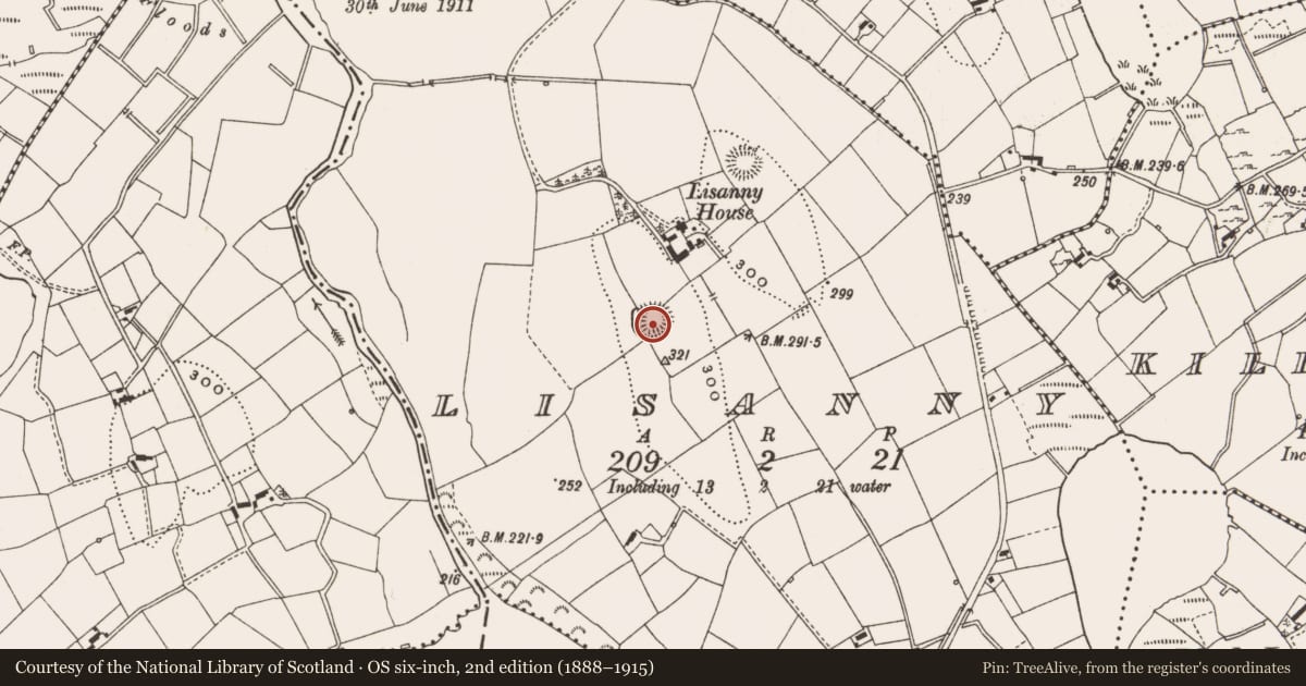 Ordnance Survey six-inch map, 2nd edition (1888–1915) covering the location of Ringfort - rath, Lisanny, County Cavan, with a pin at the register's coordinates