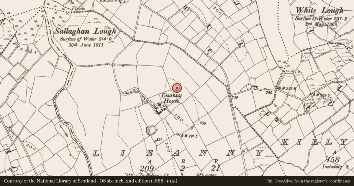 Ordnance Survey six-inch map, 2nd edition (1888–1915) covering the location of Ringfort - rath, Lisanny, County Cavan, with a pin at the register's coordinates