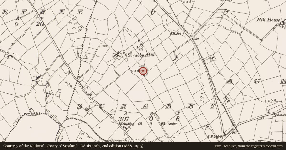 Ordnance Survey six-inch map, 2nd edition (1888–1915) covering the location of Ringfort - rath, Loch Gowna, County Cavan, with a pin at the register's coordinates