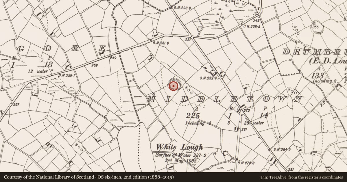 Ordnance Survey six-inch map, 2nd edition (1888–1915) covering the location of Ringfort - rath, Middletown, County Cavan, with a pin at the register's coordinates