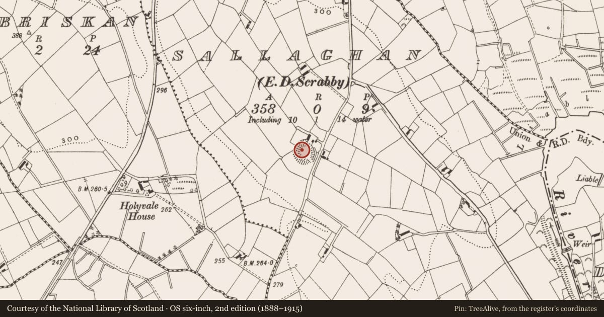 Ordnance Survey six-inch map, 2nd edition (1888–1915) covering the location of Ringfort - rath, Sallaghan, County Cavan, with a pin at the register's coordinates