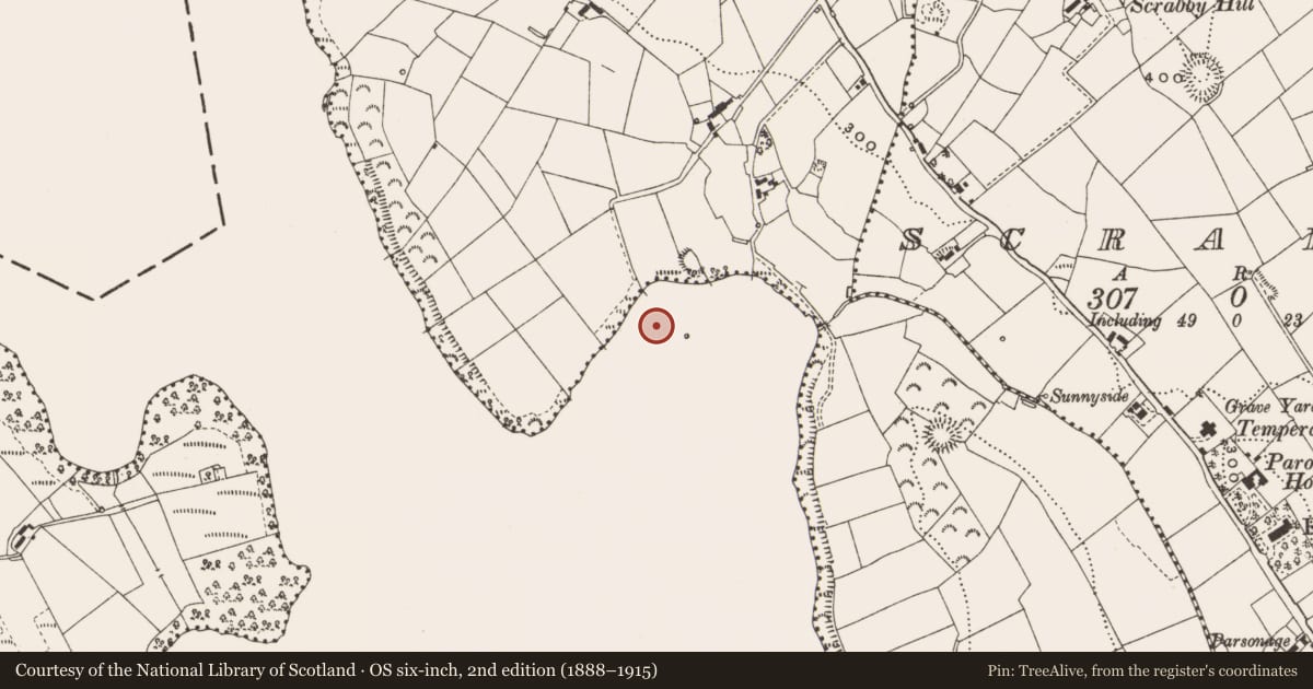 Ordnance Survey six-inch map, 2nd edition (1888–1915) covering the location of Crannog, Corfree, County Cavan, with a pin at the register's coordinates