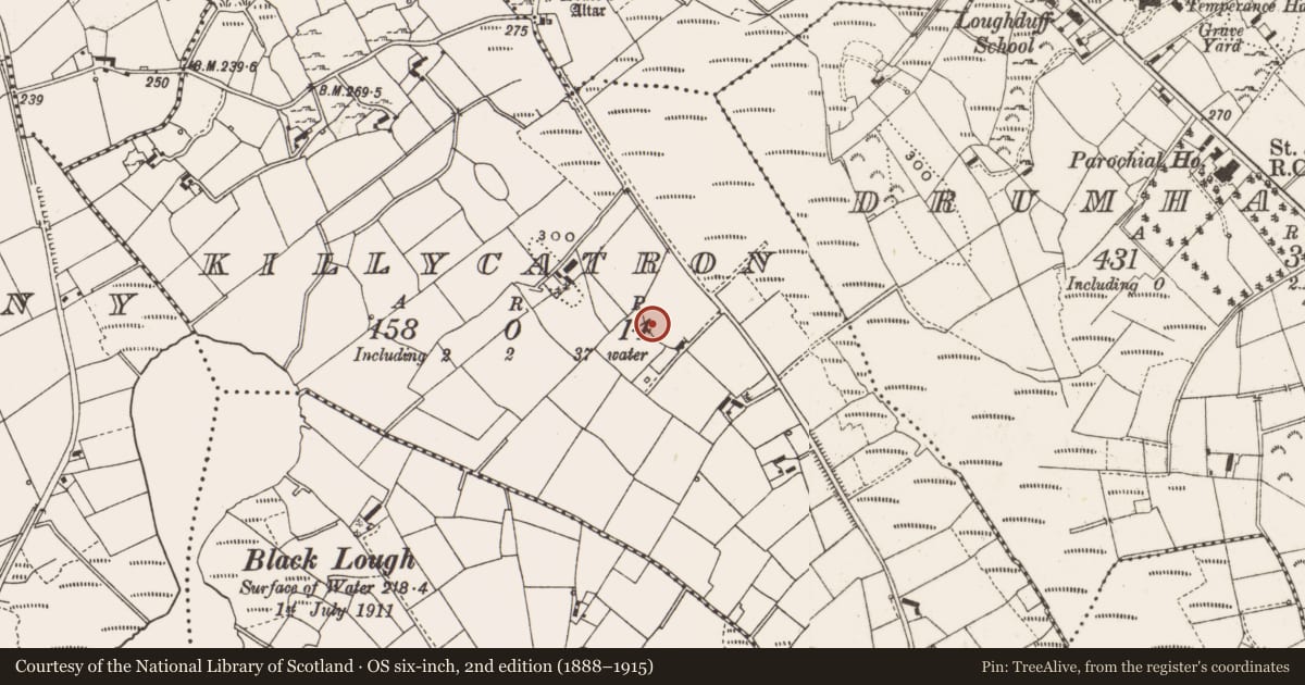 Ordnance Survey six-inch map, 2nd edition (1888–1915) covering the location of Enclosure, Killycatron, County Cavan, with a pin at the register's coordinates