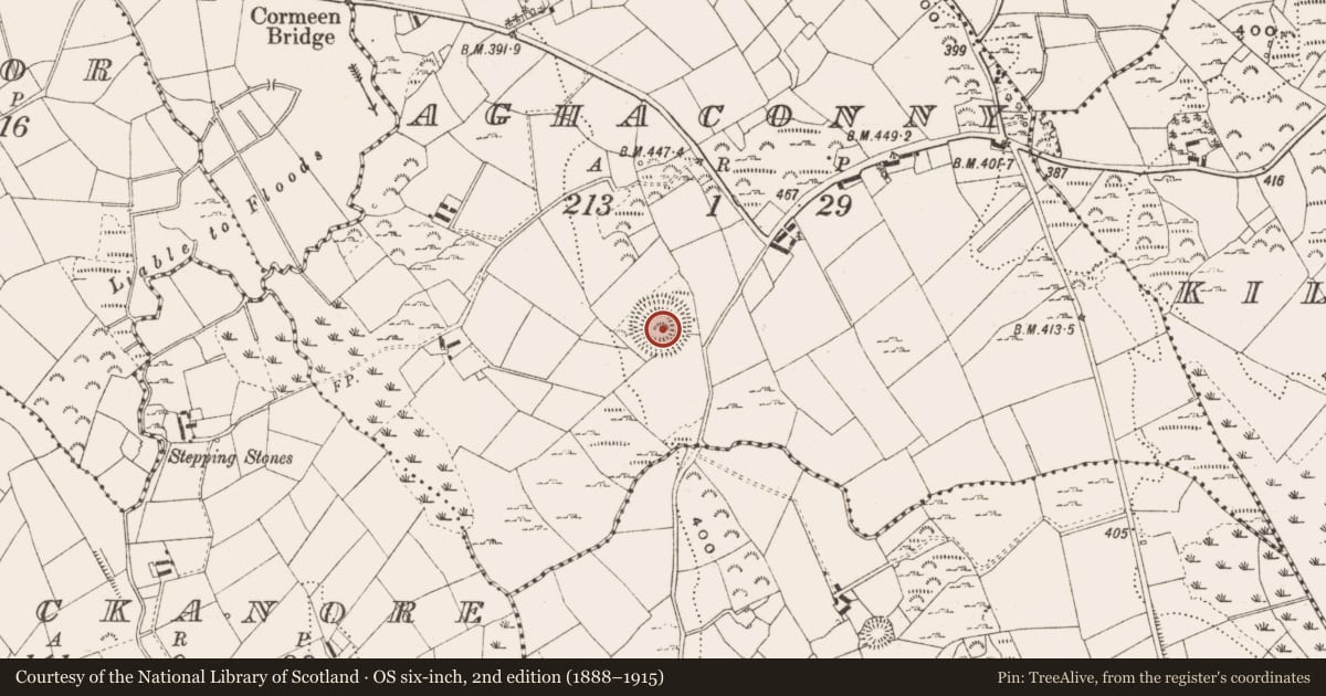Ordnance Survey six-inch map, 2nd edition (1888–1915) covering the location of Ringfort - rath, Aghaconny, County Cavan, with a pin at the register's coordinates