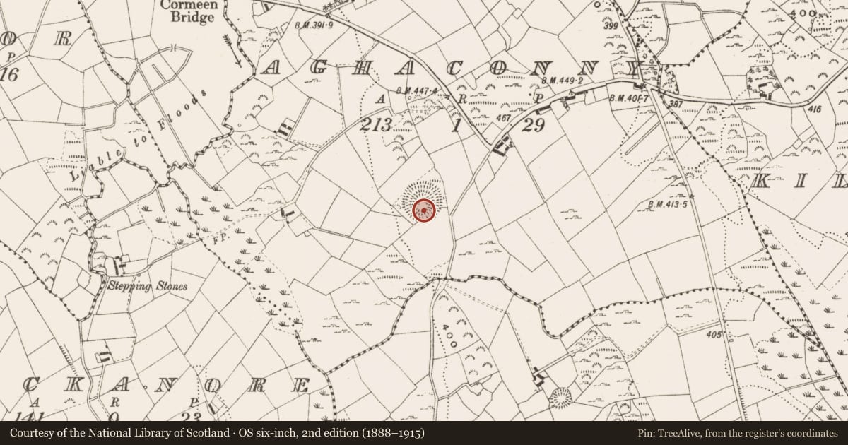 Ordnance Survey six-inch map, 2nd edition (1888–1915) covering the location of Souterrain, Aghaconny, County Cavan, with a pin at the register's coordinates