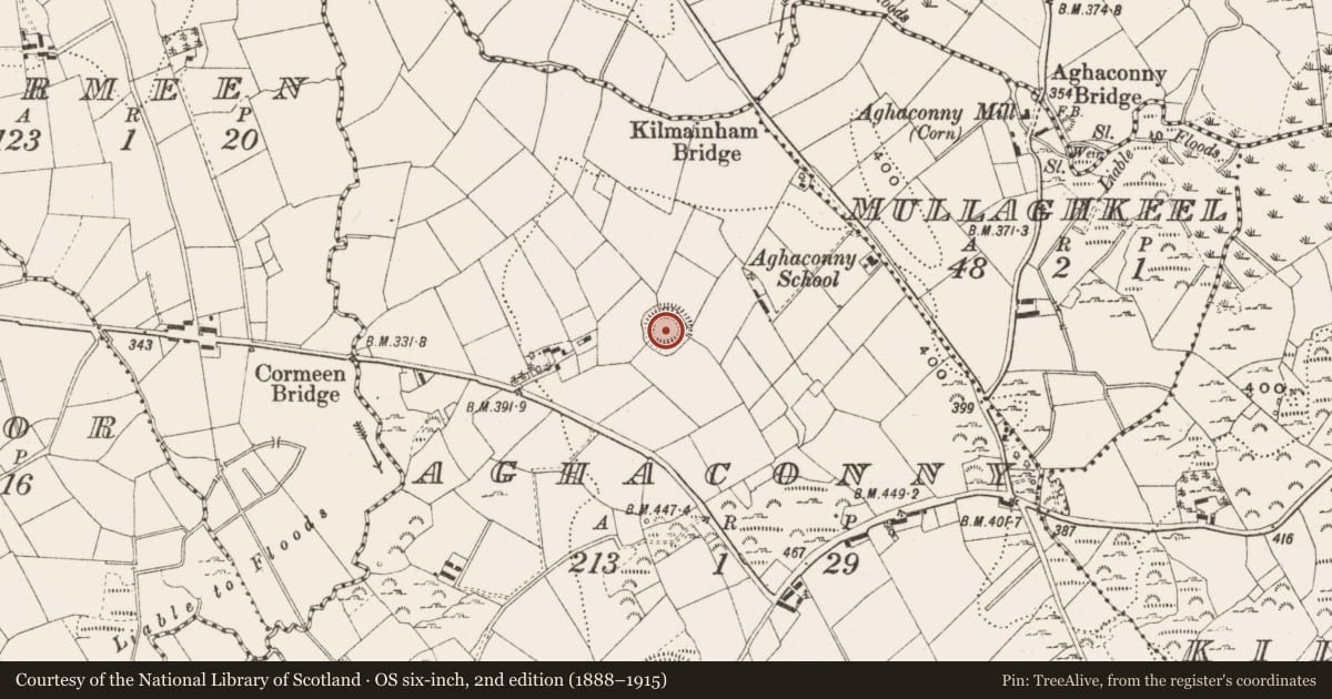 Ordnance Survey six-inch map, 2nd edition (1888–1915) covering the location of Ringfort - rath, Aghaconny, County Cavan, with a pin at the register's coordinates