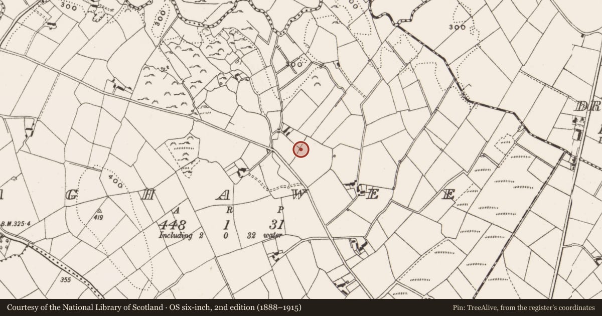 Ordnance Survey six-inch map, 2nd edition (1888–1915) covering the location of Megalithic tomb - portal tomb, Aghawee, County Cavan, with a pin at the register's coordinates