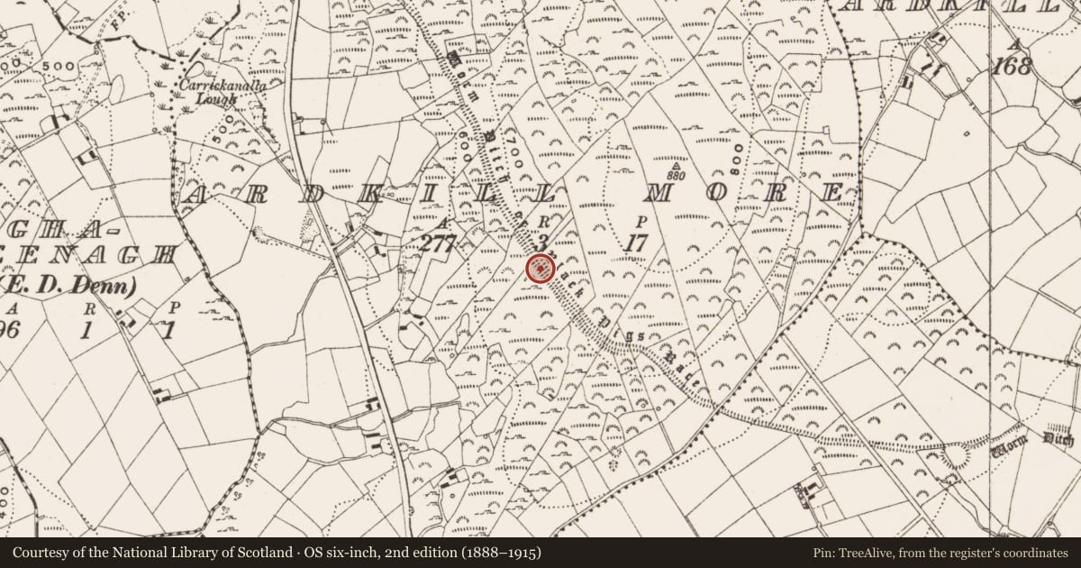 Ordnance Survey six-inch map, 2nd edition (1888–1915) covering the location of Linear earthwork, County Cavan, with a pin at the register's coordinates