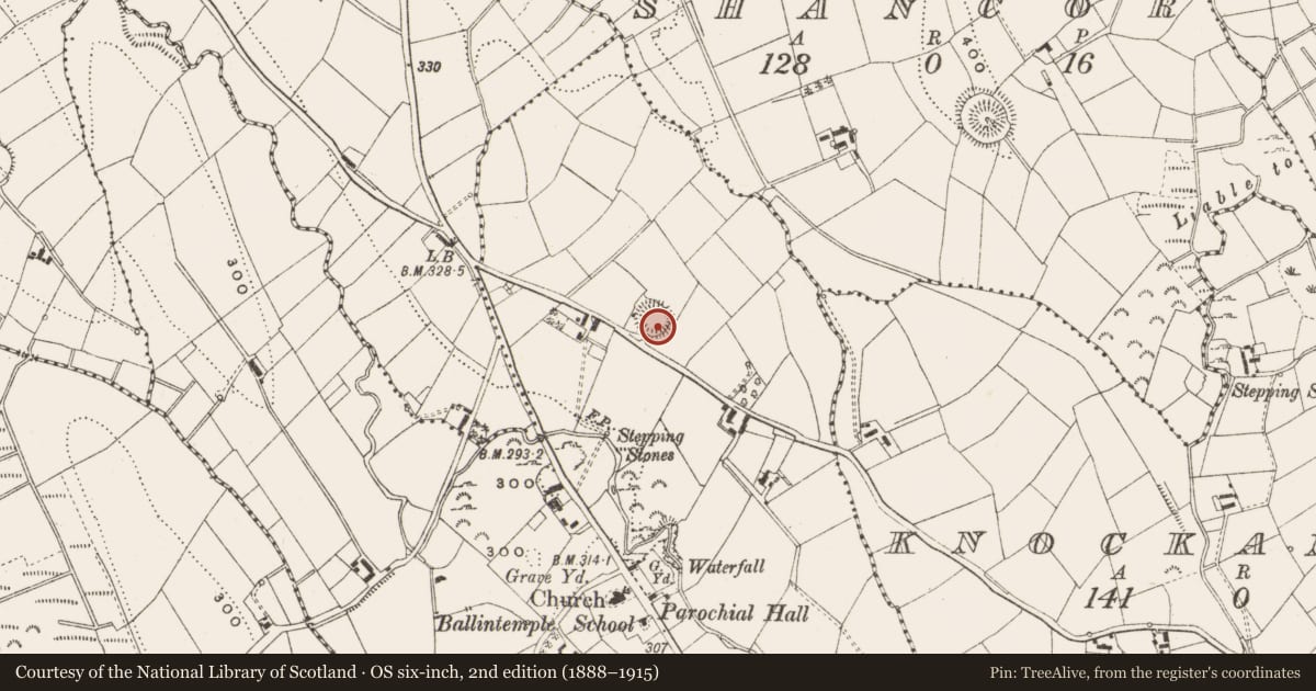 Ordnance Survey six-inch map, 2nd edition (1888–1915) covering the location of Ringfort - rath, Ballintemple, County Cavan, with a pin at the register's coordinates