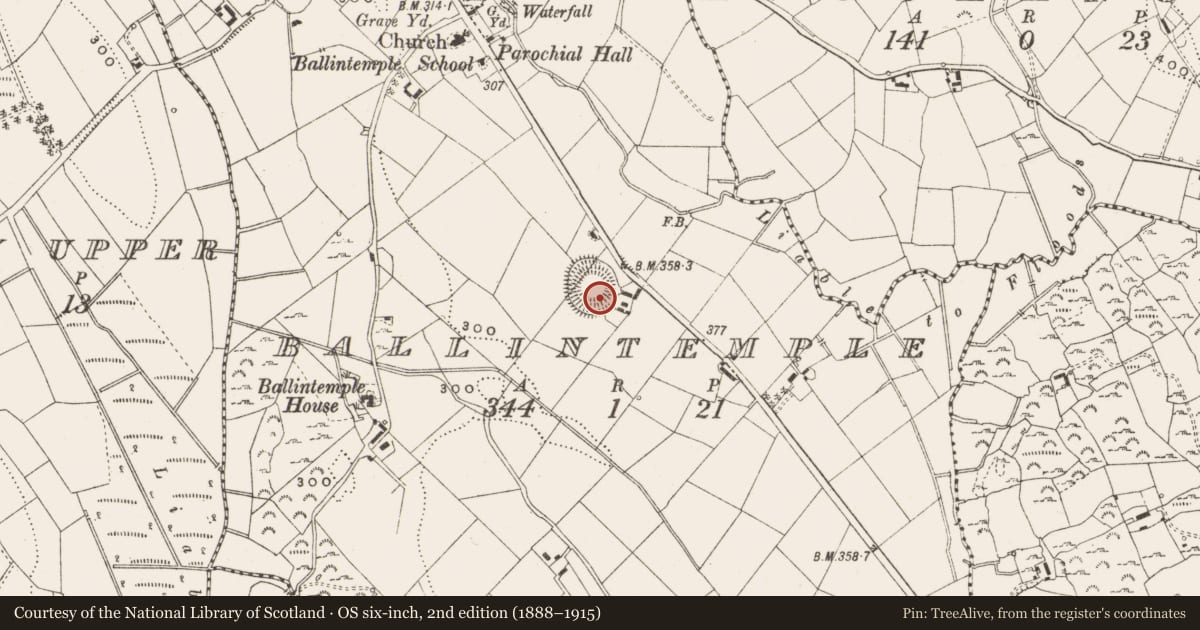 Ordnance Survey six-inch map, 2nd edition (1888–1915) covering the location of Ringfort - rath, Ballintemple, County Cavan, with a pin at the register's coordinates