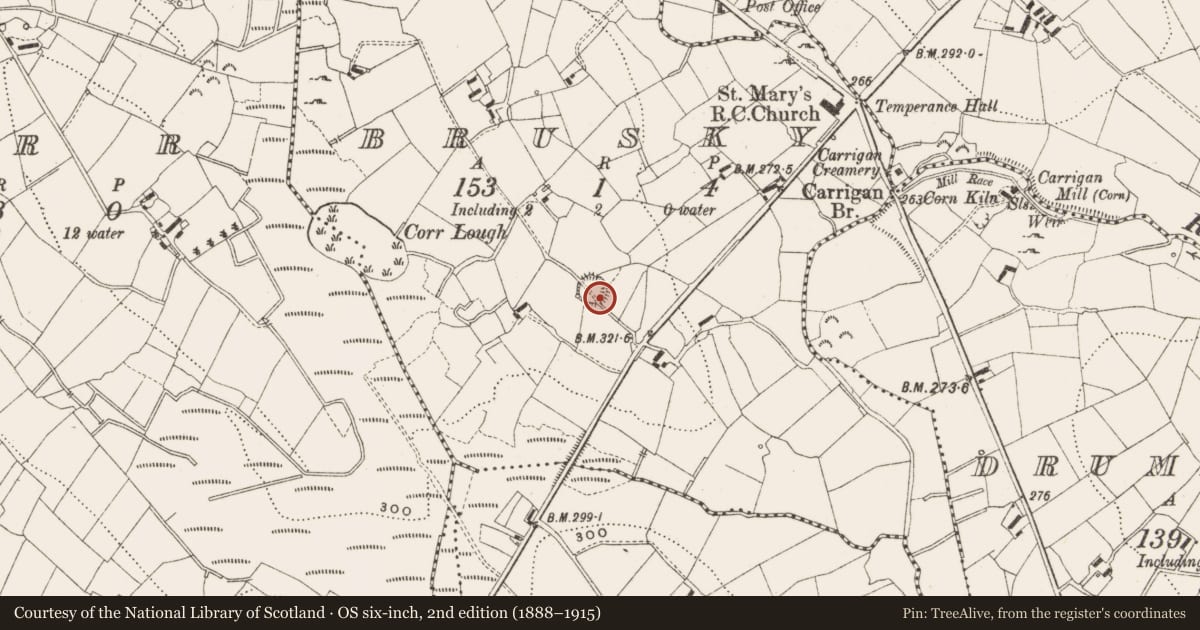 Ordnance Survey six-inch map, 2nd edition (1888–1915) covering the location of Ringfort - rath, Brusky, County Cavan, with a pin at the register's coordinates