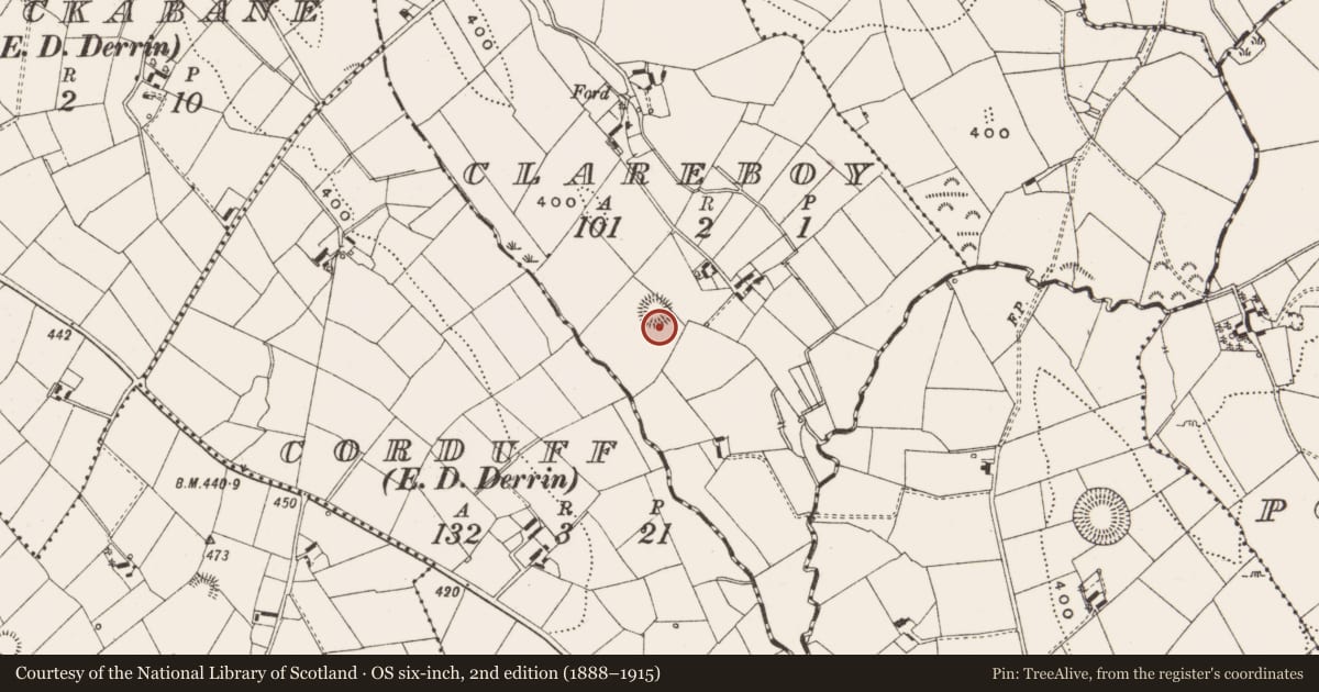 Ordnance Survey six-inch map, 2nd edition (1888–1915) covering the location of Ringfort - rath, Clareboy, County Cavan, with a pin at the register's coordinates