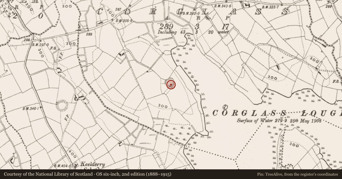 Ordnance Survey six-inch map, 2nd edition (1888–1915) covering the location of Ringfort - rath, Corglass, County Cavan, with a pin at the register's coordinates