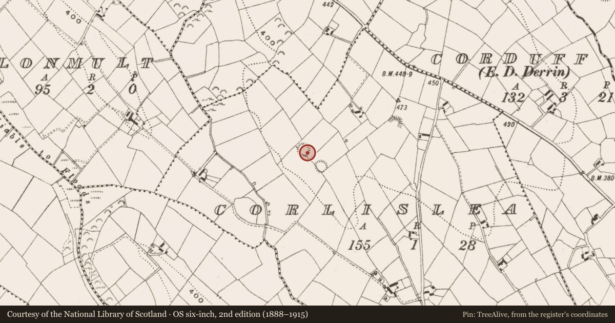 Ordnance Survey six-inch map, 2nd edition (1888–1915) covering the location of Ringfort - rath, Corlislea, County Cavan, with a pin at the register's coordinates