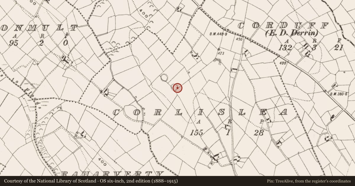 Ordnance Survey six-inch map, 2nd edition (1888–1915) covering the location of Ringfort - rath, Corlislea, County Cavan, with a pin at the register's coordinates