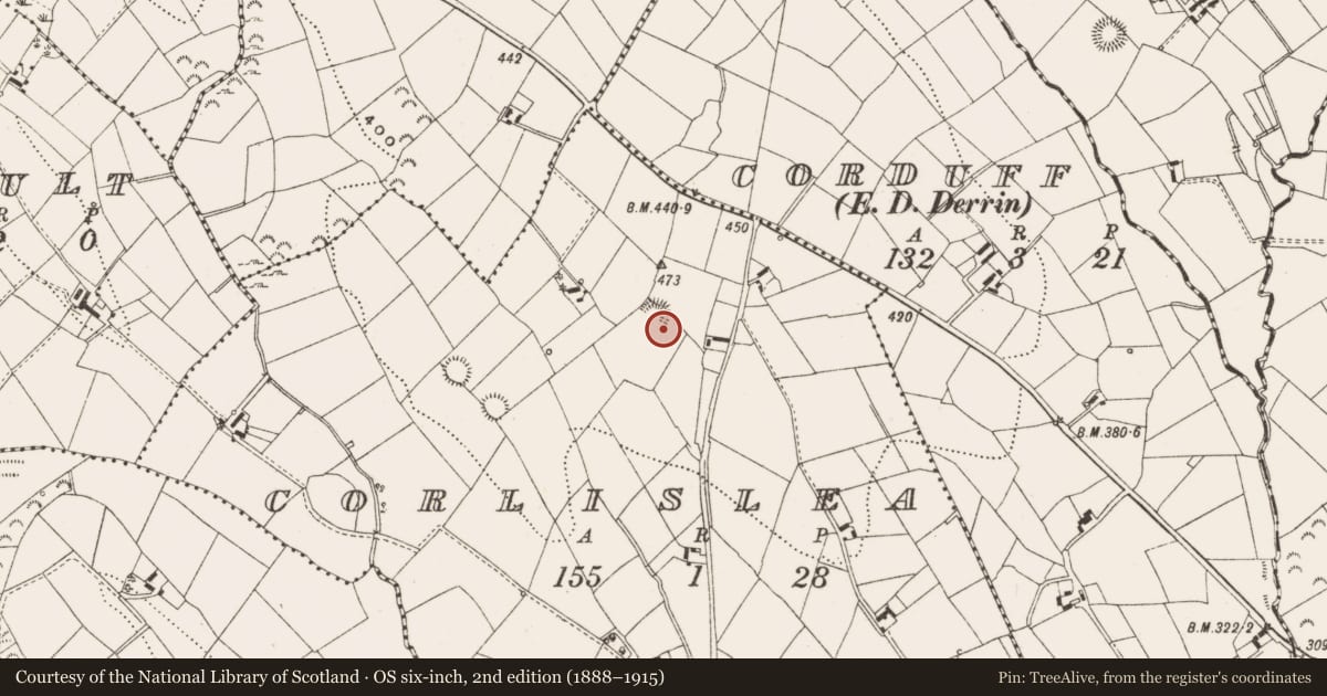 Ordnance Survey six-inch map, 2nd edition (1888–1915) covering the location of Ringfort - rath, Corlislea, County Cavan, with a pin at the register's coordinates