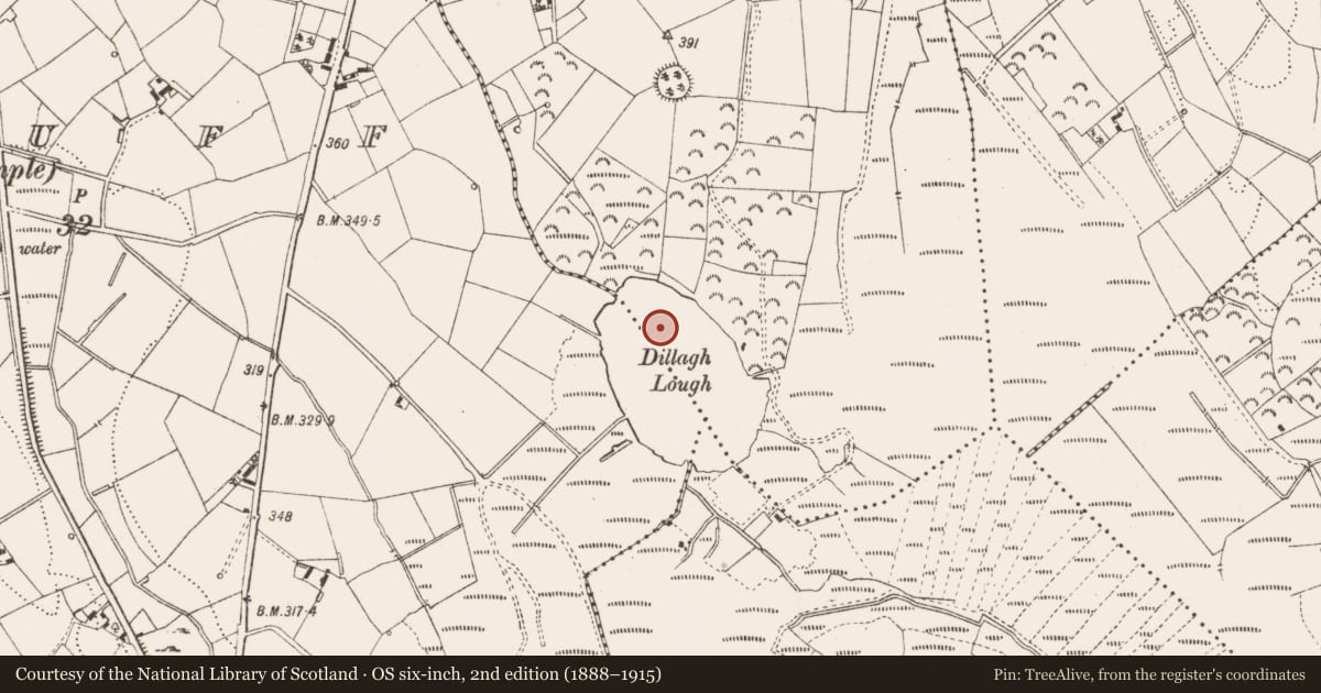Ordnance Survey six-inch map, 2nd edition (1888–1915) covering the location of Crannog, Dillagh, County Cavan, with a pin at the register's coordinates
