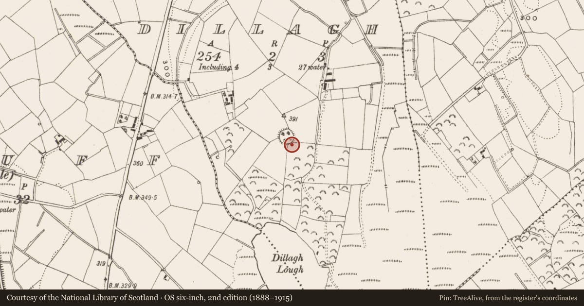 Ordnance Survey six-inch map, 2nd edition (1888–1915) covering the location of Ringfort - rath, Dillagh, County Cavan, with a pin at the register's coordinates