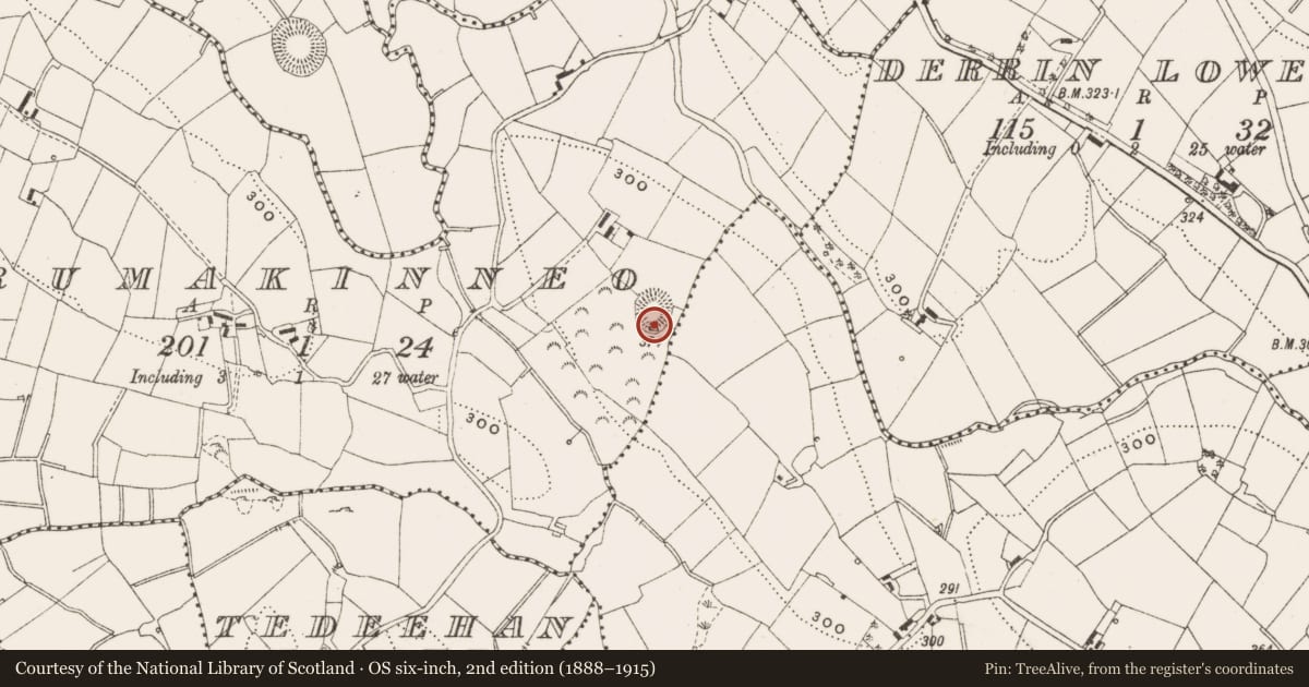 Ordnance Survey six-inch map, 2nd edition (1888–1915) covering the location of Ringfort - rath, Drumakinneo, County Cavan, with a pin at the register's coordinates