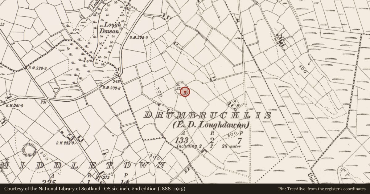 Ordnance Survey six-inch map, 2nd edition (1888–1915) covering the location of Ringfort - rath, Drumbrucklis, County Cavan, with a pin at the register's coordinates