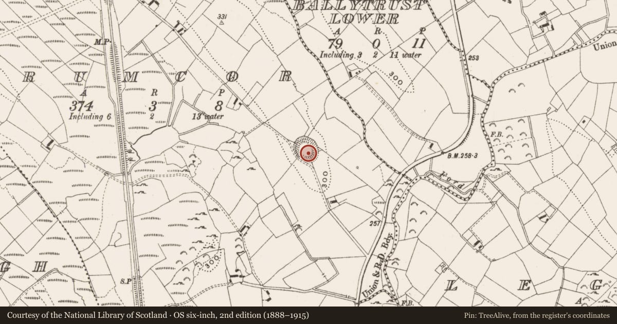 Ordnance Survey six-inch map, 2nd edition (1888–1915) covering the location of Ringfort - rath, Drumcor, County Cavan, with a pin at the register's coordinates