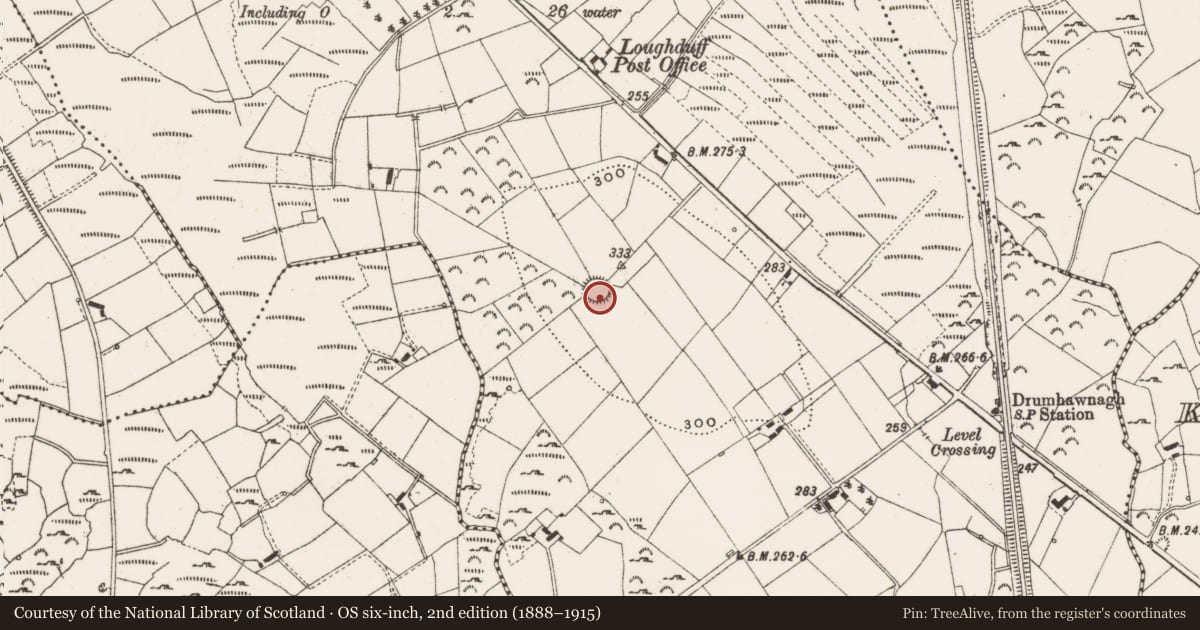 Ordnance Survey six-inch map, 2nd edition (1888–1915) covering the location of Ringfort - rath, Drumhawnagh, County Cavan, with a pin at the register's coordinates