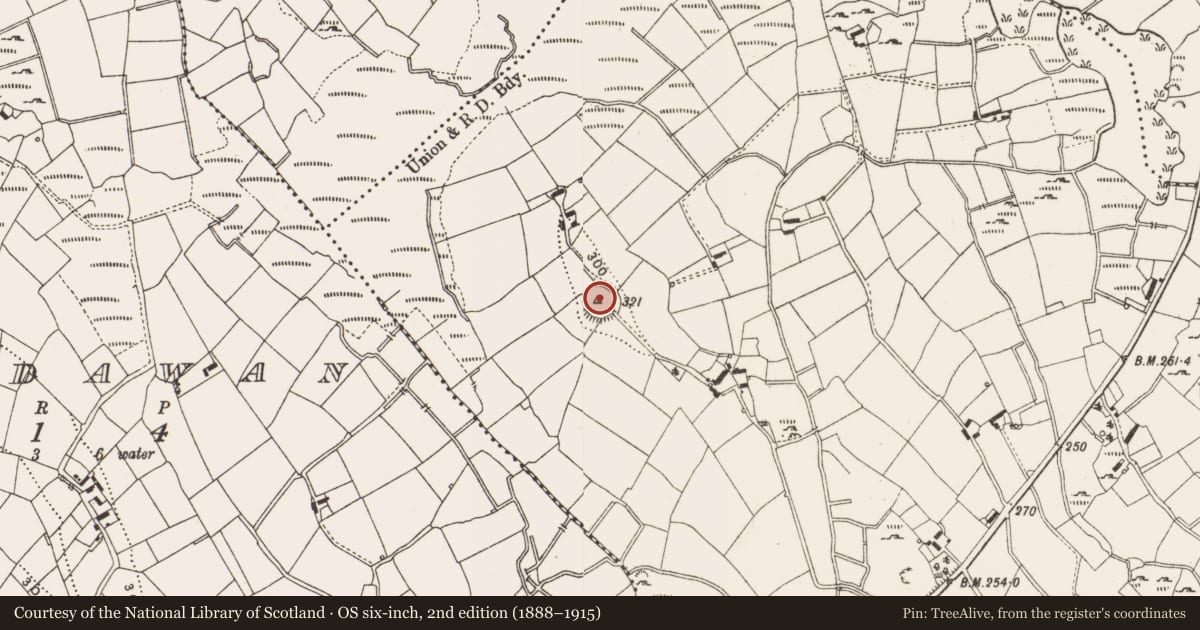 Ordnance Survey six-inch map, 2nd edition (1888–1915) covering the location of Ringfort - rath, Drumhawragh, County Cavan, with a pin at the register's coordinates