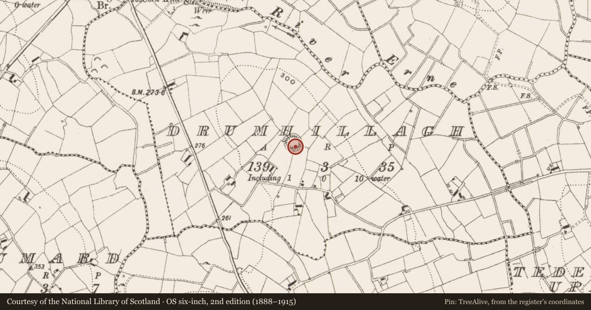 Ordnance Survey six-inch map, 2nd edition (1888–1915) covering the location of Ringfort - rath, Drumhillagh, County Cavan, with a pin at the register's coordinates