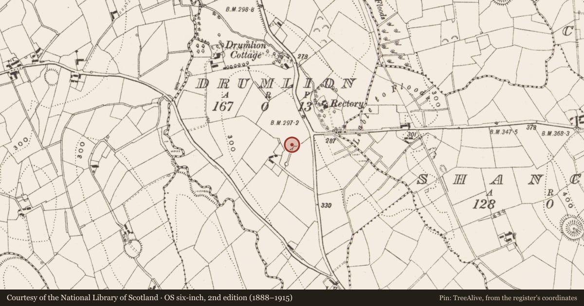 Ordnance Survey six-inch map, 2nd edition (1888–1915) covering the location of Ringfort - rath, Drumlion, County Cavan, with a pin at the register's coordinates